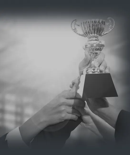 Logwiz receiving an award